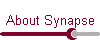 About Synapse