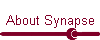 About Synapse